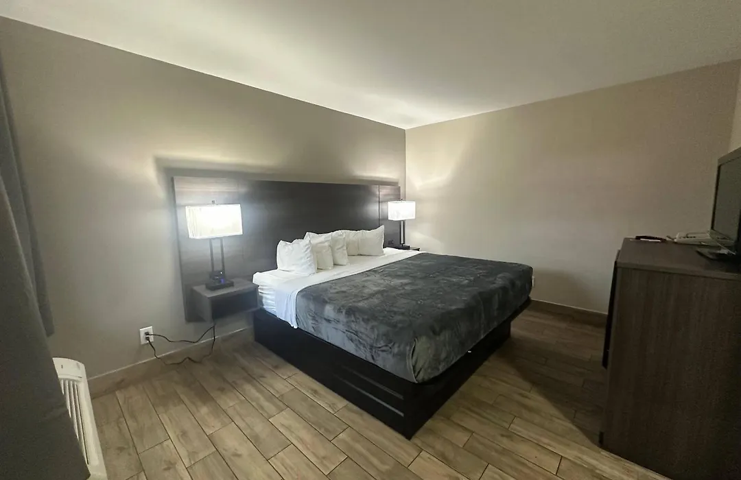 Econo Lodge St Petersburg Central-1