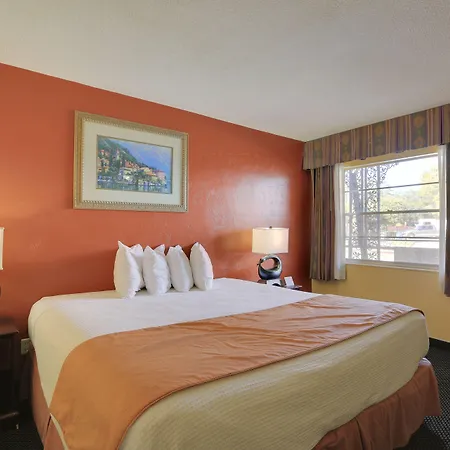 Econo Lodge St Petersburg Central-3